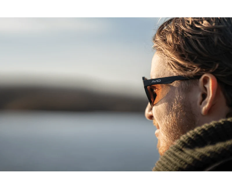 Lunettes Polarisantes Avid Carp Classic
