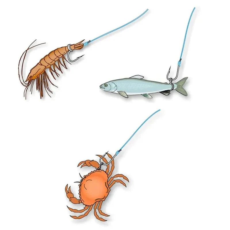 Bait Bands – Pelletbandjes
