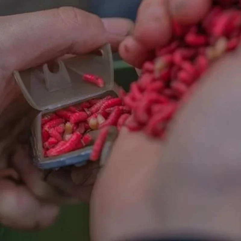 Multi Maggot Feeder – Madenkorven