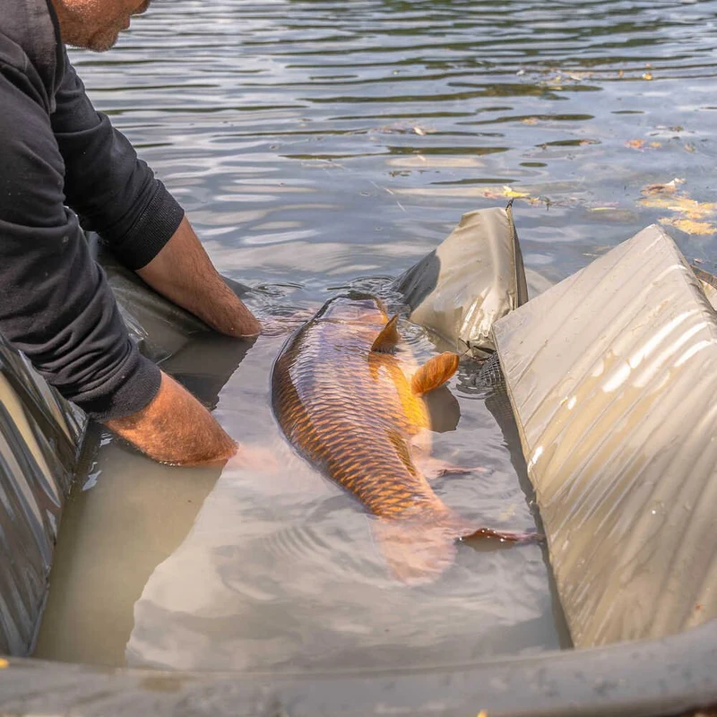 Berceau Avid Carp PRO-Tect Deluxe Cradle