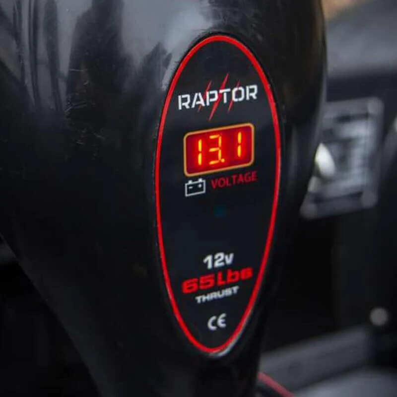 Moteur Raptor Electro 65 lb