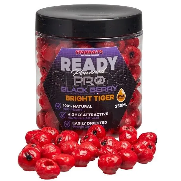 Noix tigrées Starbaits Probiotic Blackberry