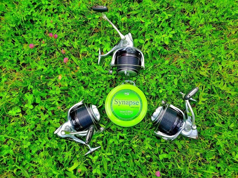 Fil Katran Synapse Wild Carp 0,36 mm 800 m