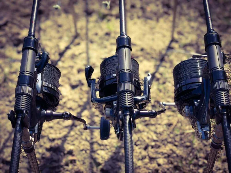 Fil Katran Synapse Wild Carp 0,36 mm 800 m