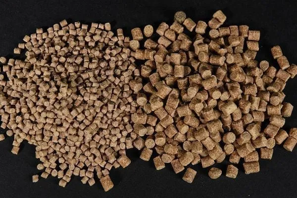 Pellets Ccmoore Live System 3mm