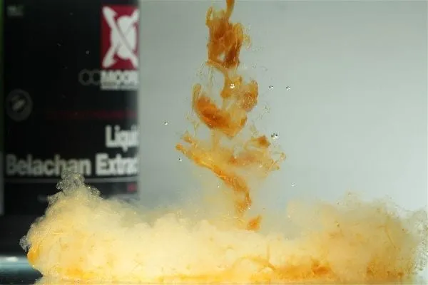 Liquide Ccmoore Extrait de Belachan 500 ml