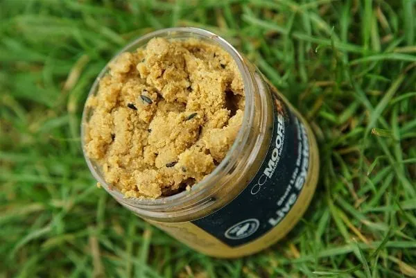Pâte pour Bouillette Ccmoore Live System 300 g