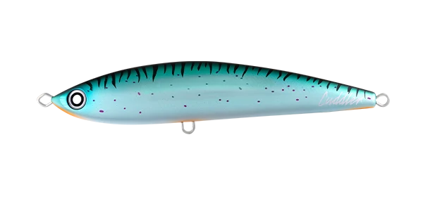 Saltiga Cuddler 200F