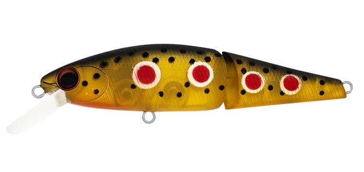 SilverCreek DR MINNOW JOINT II 70F