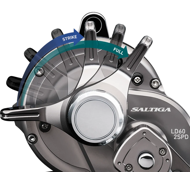 20 SALTIGA LD