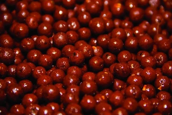 Bouillette Dynamite Baits Source 12 mm