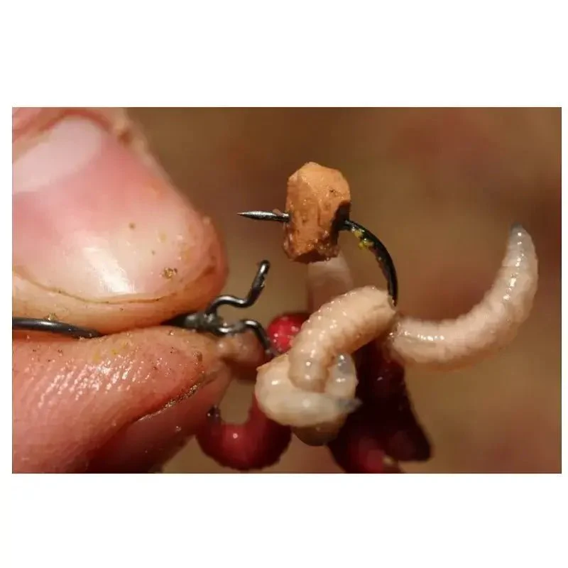 Clips Asticot Korda L