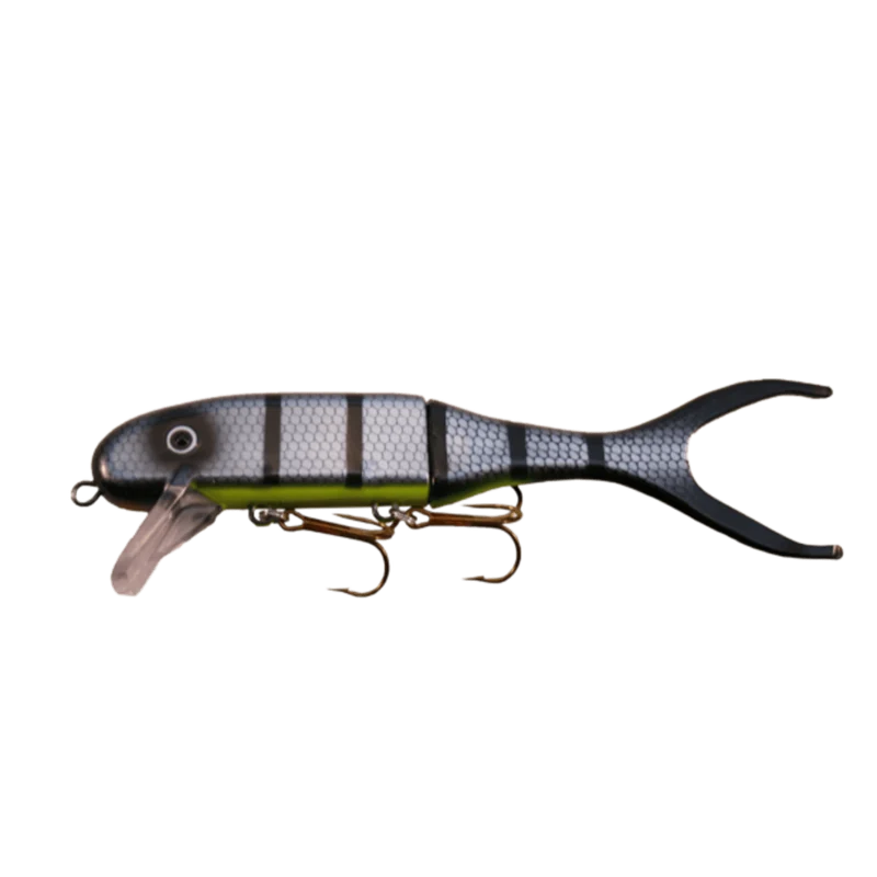 Shallow Invader