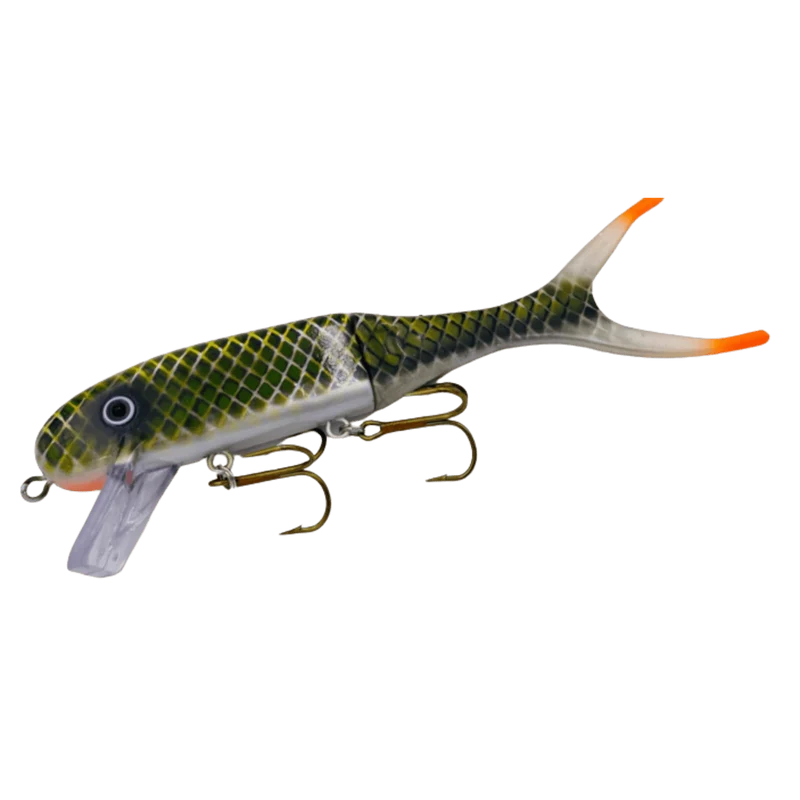 Shallow Invader