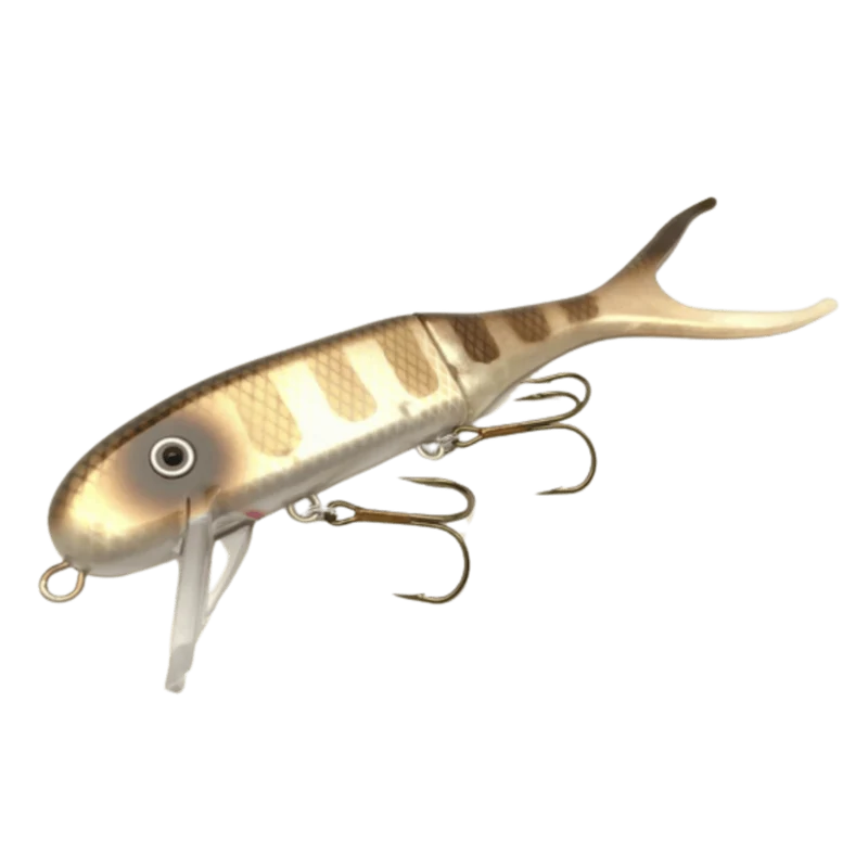 Shallow Invader