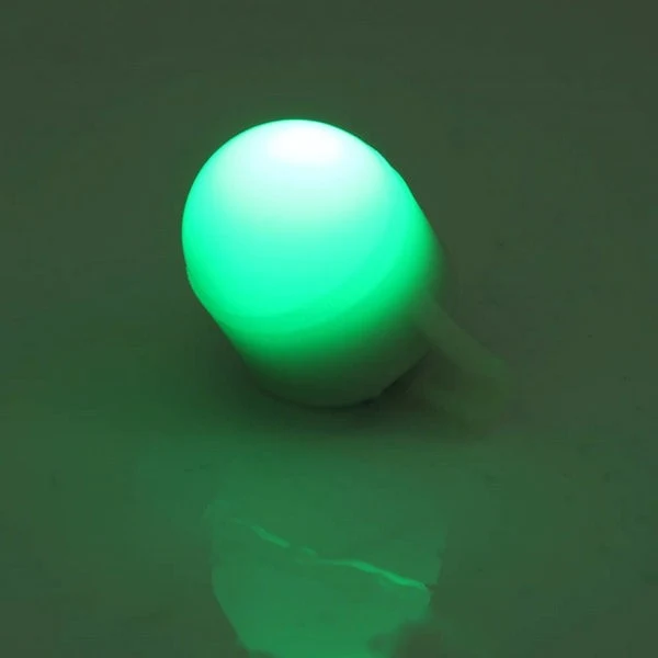 Newest LED Flash Light Alarm Fishing Pole Warning Reminder Night Glow Lamp G28