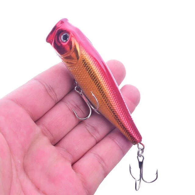 Leurre Dur Popper 6.5cm