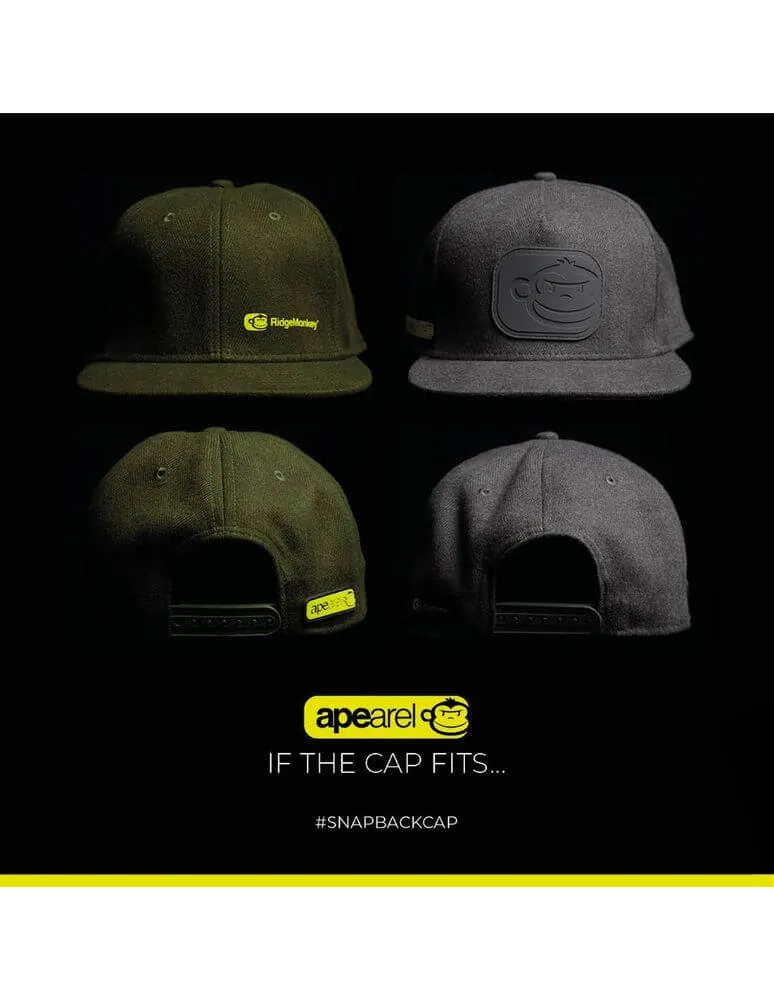 Casquette Ridge Monkey Apearel Gris