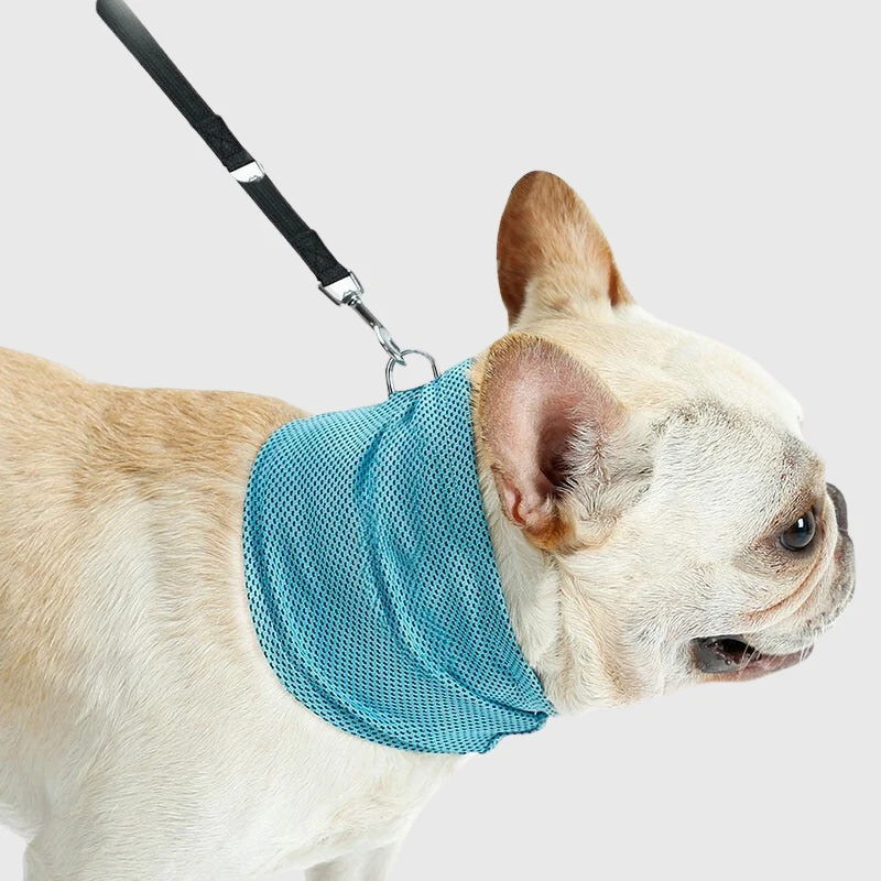 Bandana Rafraîchissant Gros Chien Anti-Canicule