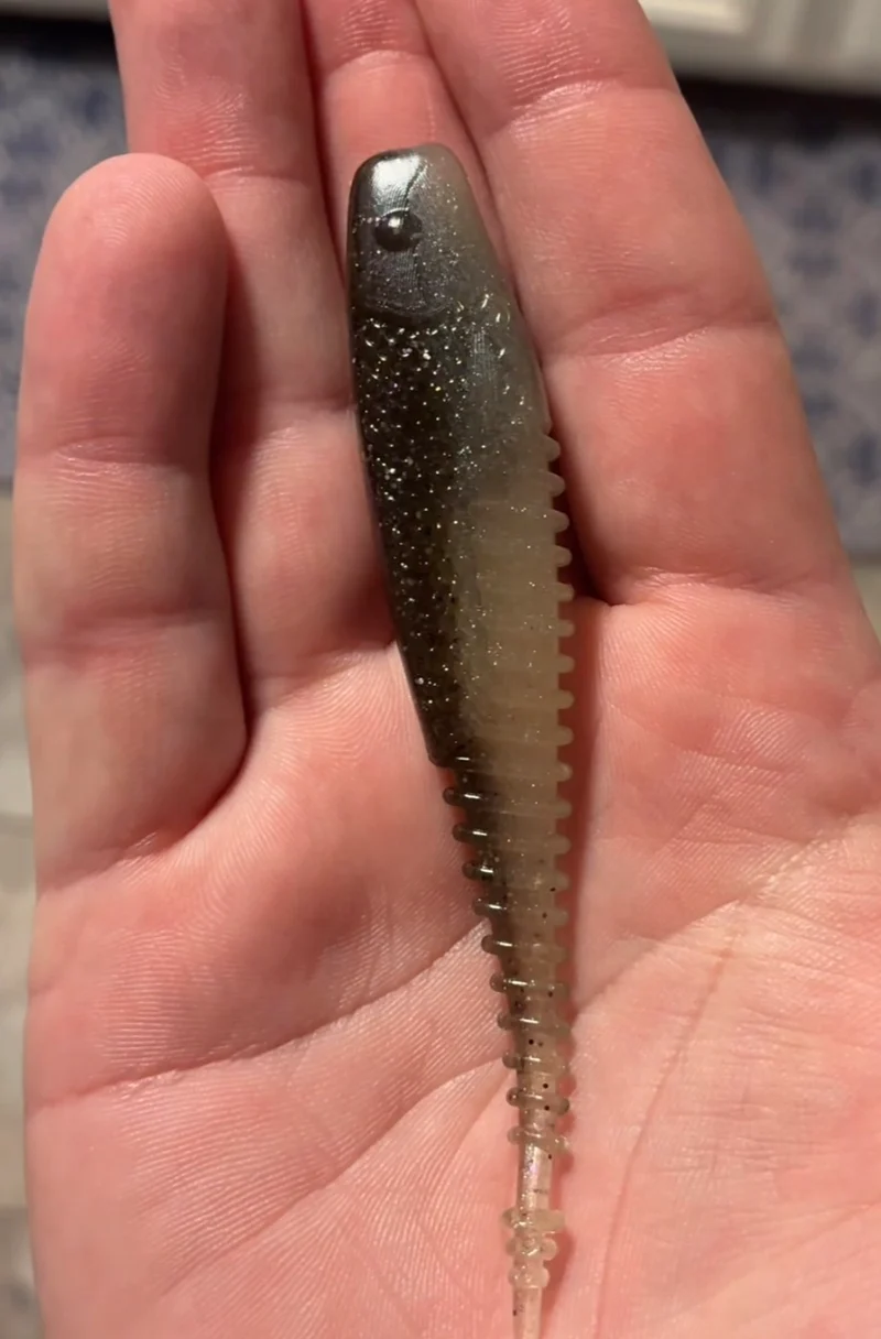 4.25in “Free Money” real gizzard shad. 5 in a bag