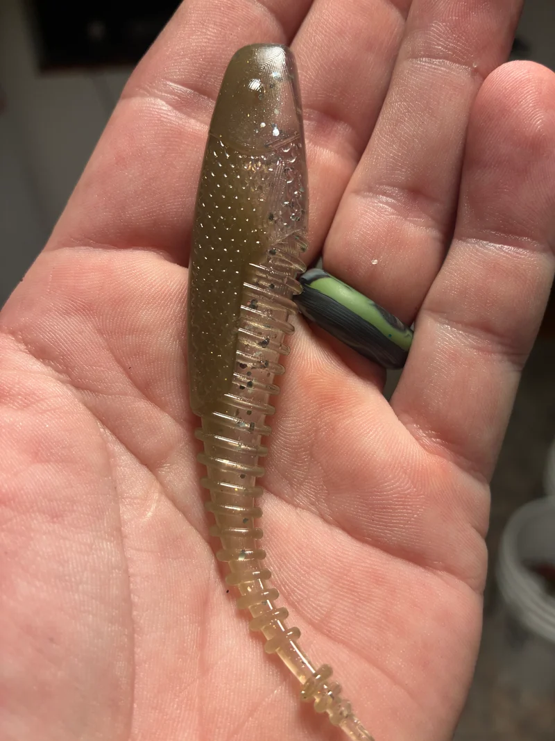 4.25in “Free Money minnow” TN shad 5 in a bag