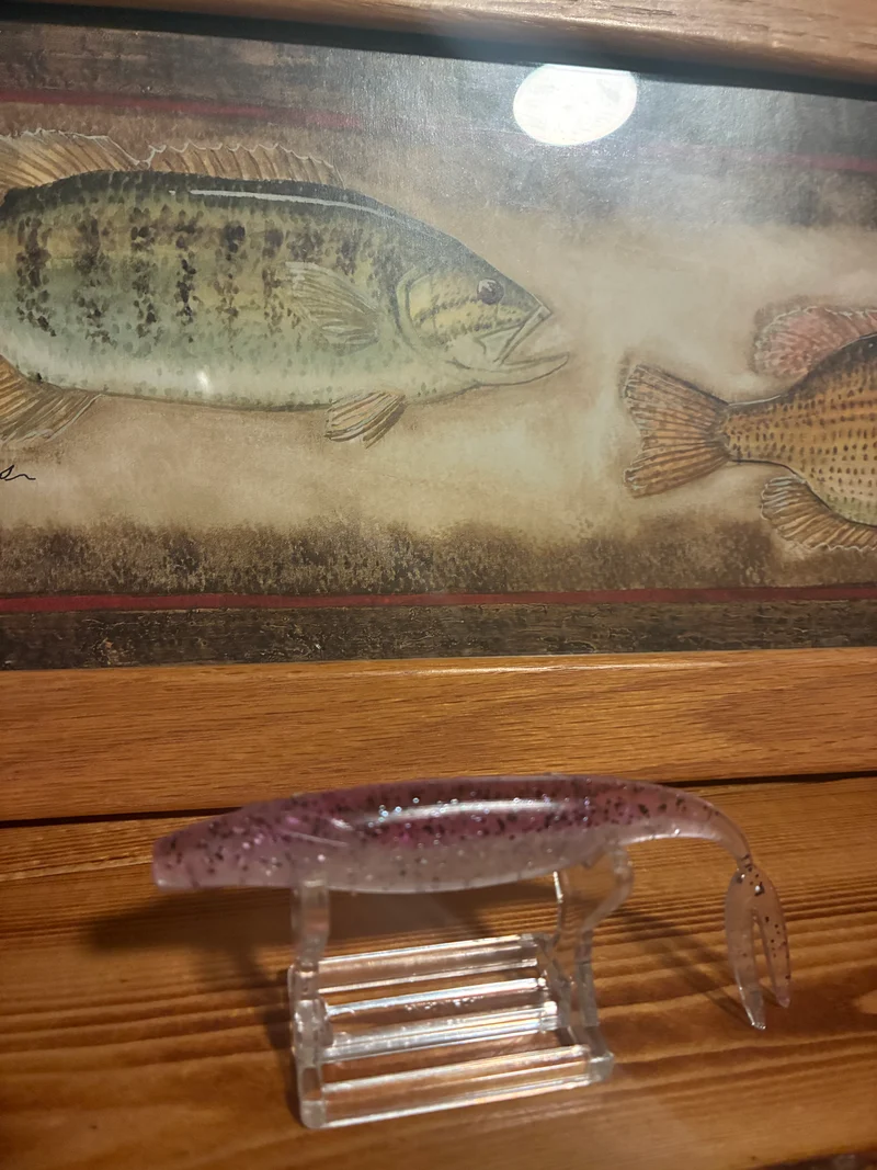 4.50 inch Kash Money Minnow (Indy sagi) 5 in a bag.