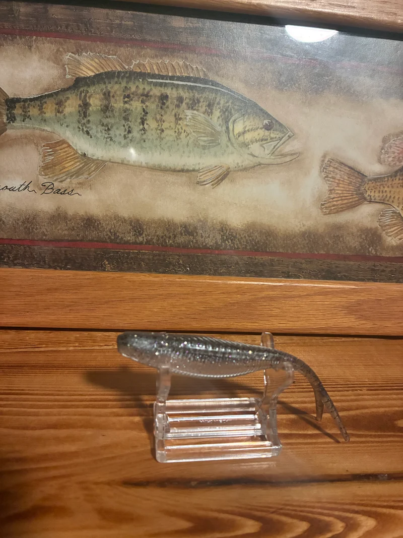 Kash Tracer (Ghost Gizzard) 8 in a bag 4 inches long.