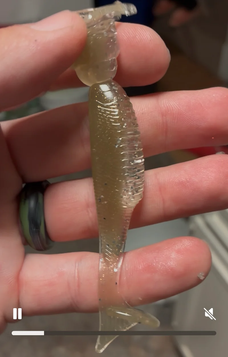 3.2in Swimbait TN shad 6 in a pack