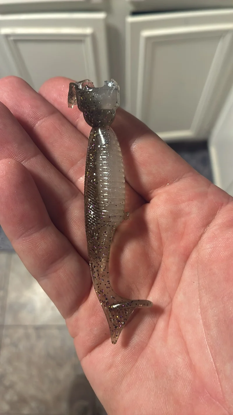 3.2in swimbait. Real Gizzard shad 6 in a pack