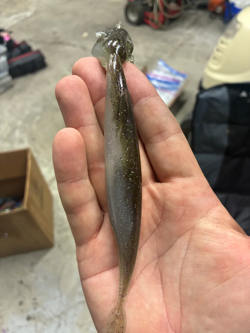 5in Kash Money Minnow (Real Gizzard shad) 5 to a bag