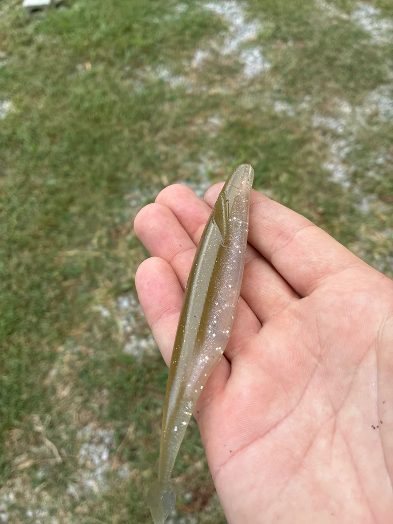 5in Kash Money Minnow TN shad 5 in a pack