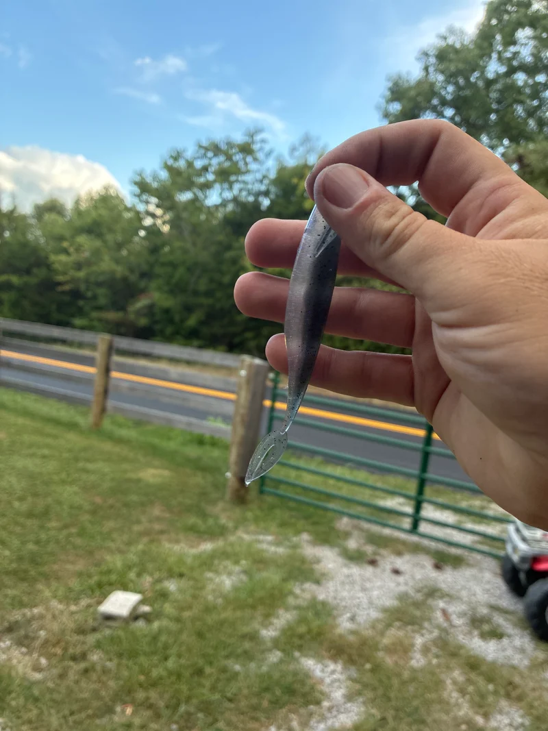 4.50 in Kash Money Minnow Electric Shad 5 in a pack