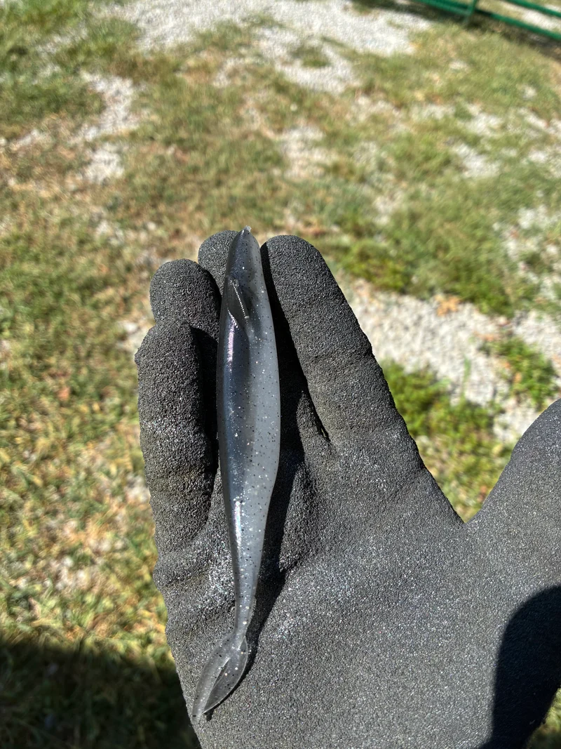 5in Kash Money Minnow. Silver Shad 5 in a bag