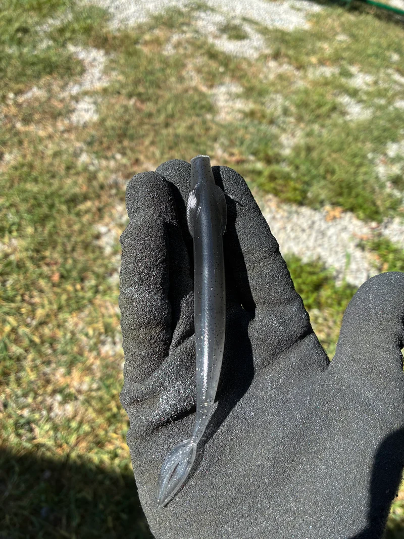 5in Kash Money Minnow. Silver Shad 5 in a bag