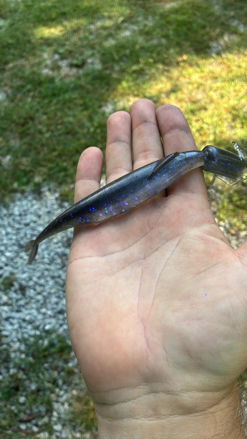 5in Electric Shad Kash Money Minnow 6 in a bag