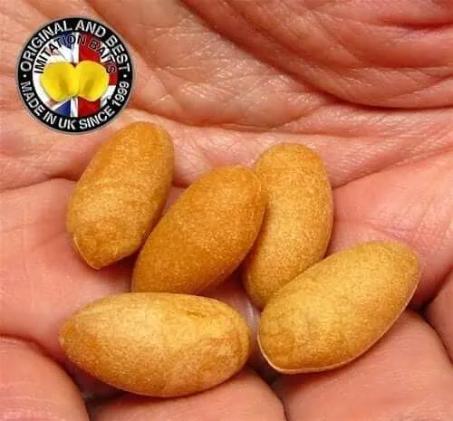 Cacahuète Enterprise