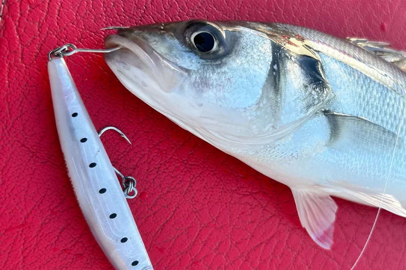 BKK IMP Single Hook