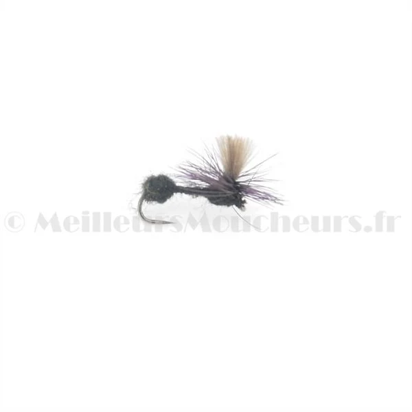 Fourmi noire parachute CDC