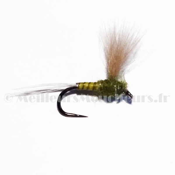 CDC voilier olive
