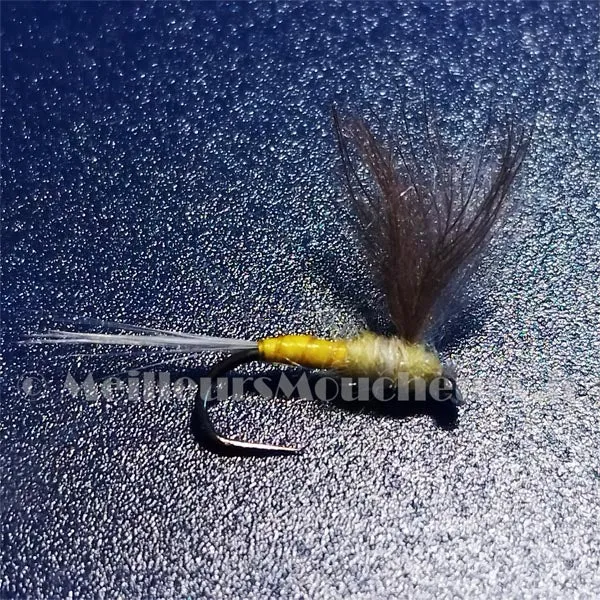 CDC voilier jaune