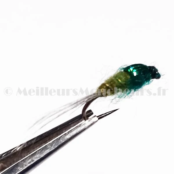 Foxy nymph (Baetis)