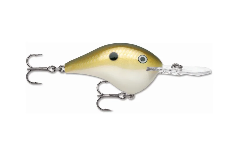 Rapala DT 12 Dives-To Crankbait