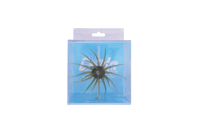 HideUp Coike 17 mm