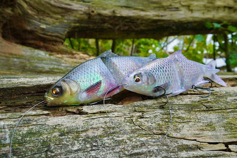Savage Gear 3D Glide Roach 23 cm
