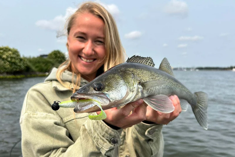 Rapala CrushCity The Curl