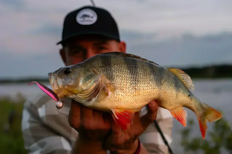 Capt'n Greenfin Round Jighead 2/0