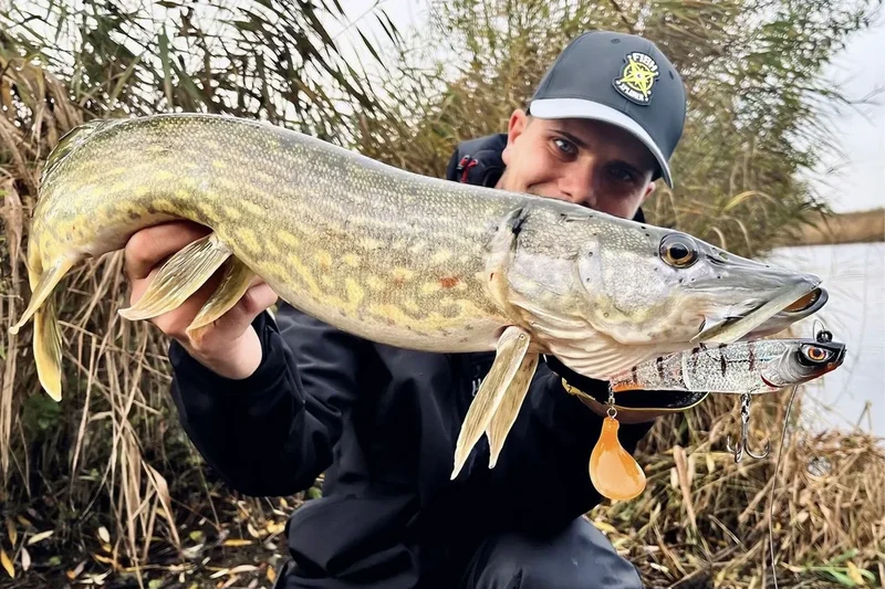 Chasebaits Swinger