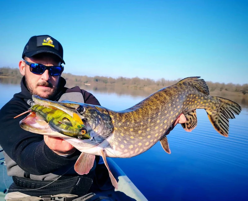 Chasebaits Swim Dusty