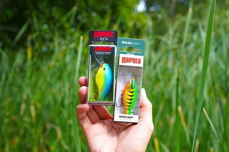 Rapala DT4 Dives-To Crankbait