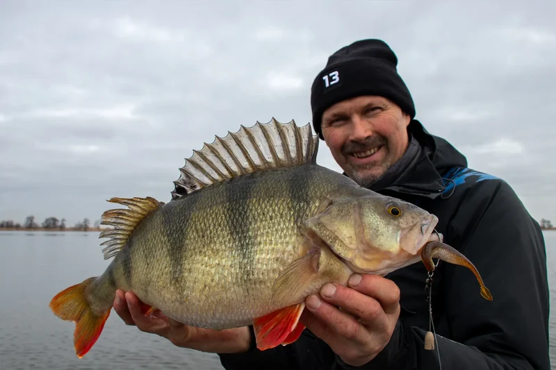 Rapala CrushCity The Stingman